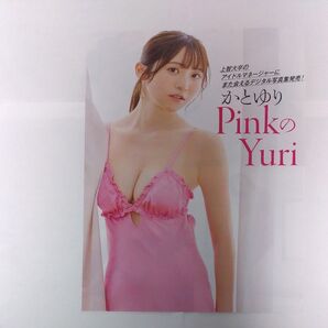 かとゆり ラミネート加工1枚+切り抜き4P