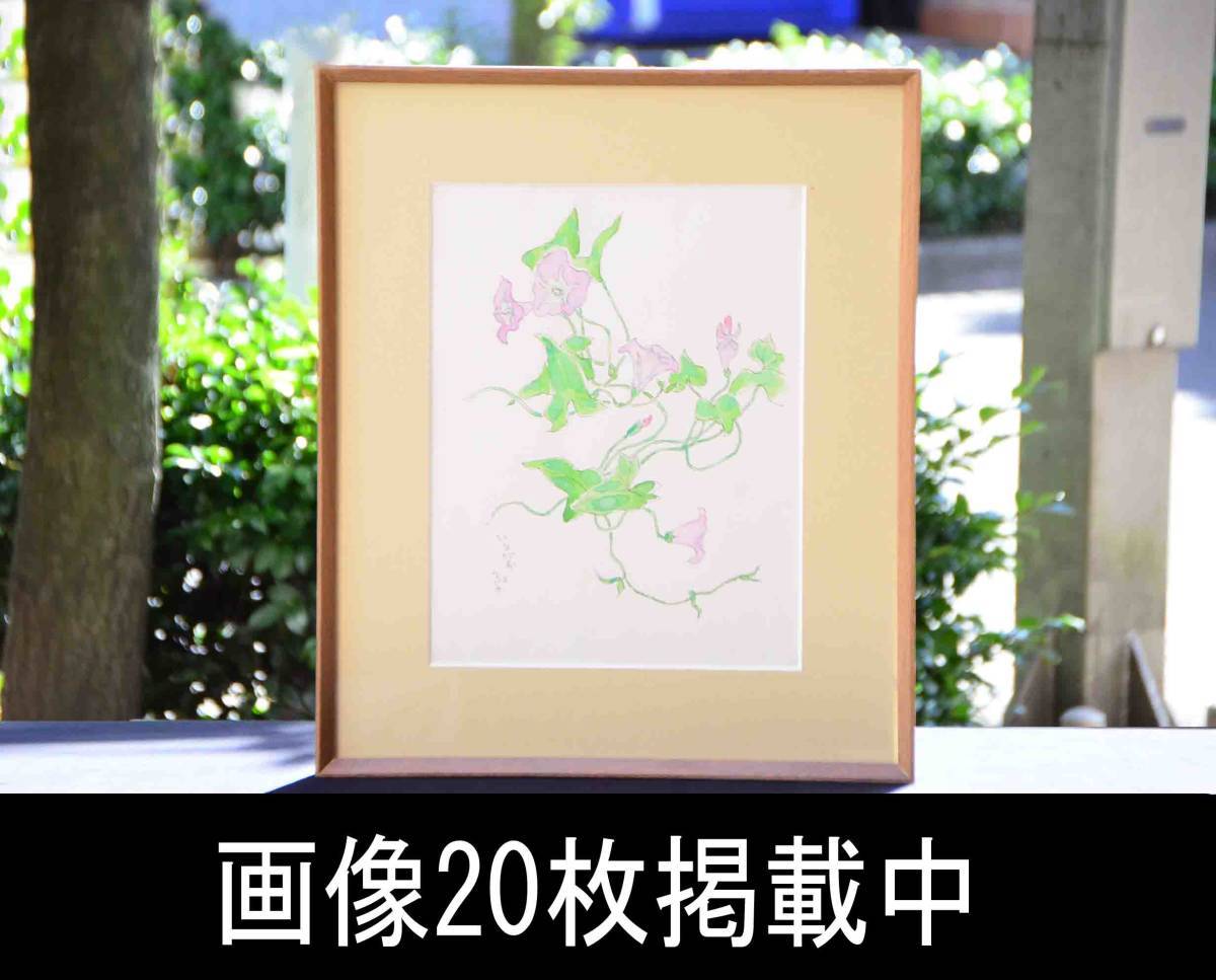 深沢紅子 ふかざわ こうこ ひるがお 野の花展 水彩画 肉筆 本物保証 画像20枚掲載中 縦39cm幅30cm 額装入 美品, 絵画, 油彩, 自然, 風景画