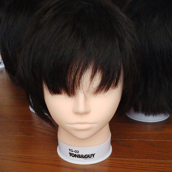 ウィッグ 美容師 カットウィッグ カットマネキン 練習用 マネキンヘッドTG02 TONI&GUY メイク