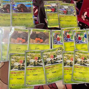 ポケモンカード 熱風のアリーナ 草ポケモンセット