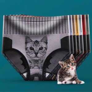 新商品レディースレースLサイズ お腹引き締めショーツ 下着4枚セット