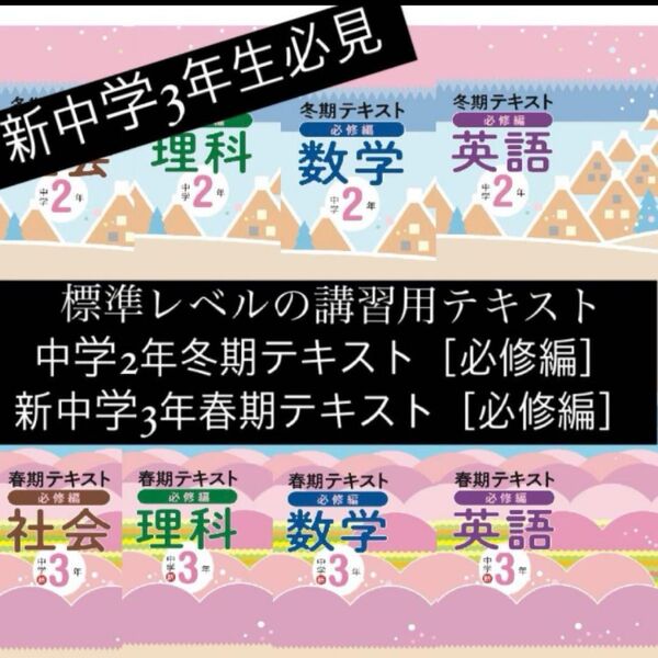 標準レベルの講習用テキスト 冬期 春期 中2 中3 まとめ売り