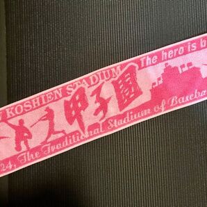 甲子園 応援マフラータオル