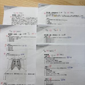 分野別国試問題