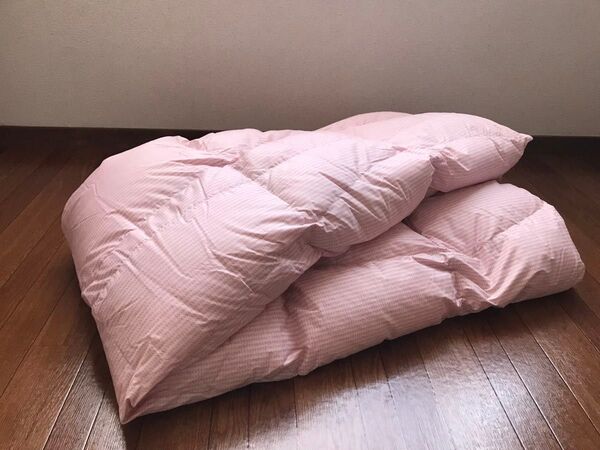 新品 未使用 西川(24+) 羽毛肌掛ふとん(ダブル) グースダウン 定価6万6千円 送料込 P