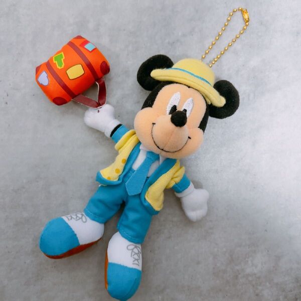 東京ディズニーリゾート ぬいぐるみ キーホルダー バケーションパッケージ バケパ マスコット