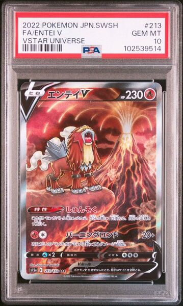 エンテイV SAR PSA10