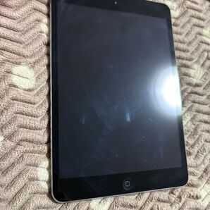 iPadmini2