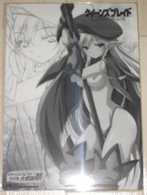 クイーンズブレイド「戦闘教官アレイン 下敷き」新品_画像2