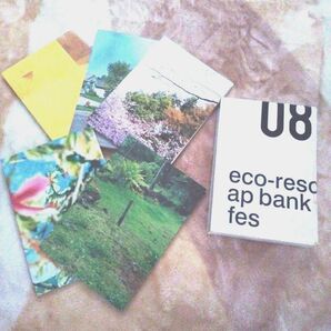 ap bank fes’08 パンフレット