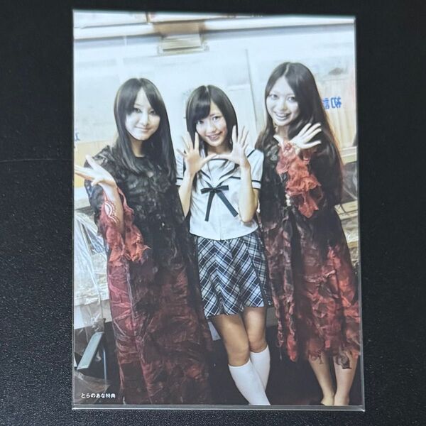 貴重 AKB48 ギンガムチェック / 渡辺麻友 松井玲奈 北原里英 とらのあな特典写真