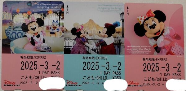 ディズニー リゾートライン フリー切符 イマジニングマジック3種