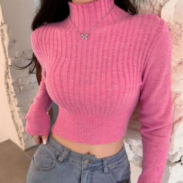 SHEIN 【人気】ニット DAZY ハイネック クロップ セーター ピンク