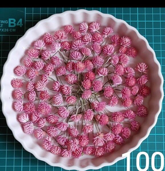 千日紅ドライフラワーヘッドくすみピンク100輪