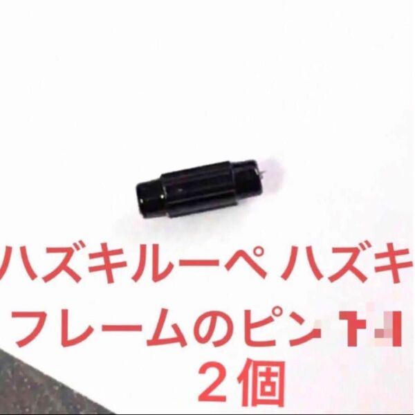 2個セット ハズキルーペ ハズキ フレーム テンプルのピン HAZUKI ハズキラージ ピン テンプル
