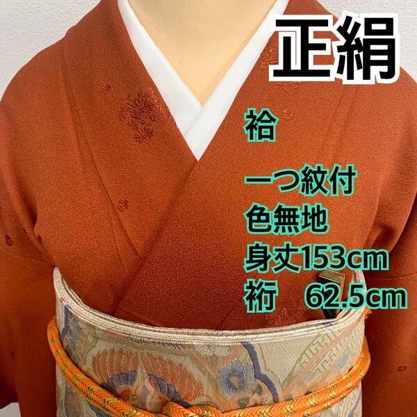428◆着物ライフ満喫◆正絹 袷 紋縮緬地 色無地