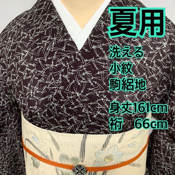 ◆444◆着物通好み◆洗える 夏用 小紋 駒絽 松葉模様