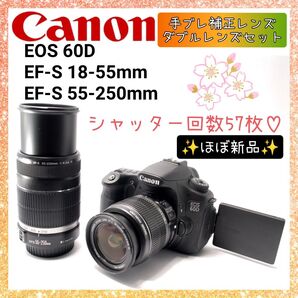 ★即購入1000円OFF★ ショット数たった57回 ほぼ新品 キャノン Canon 60D 手振れ補正