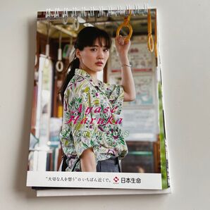 綾瀬はるか 2018年カレンダー 非売品!