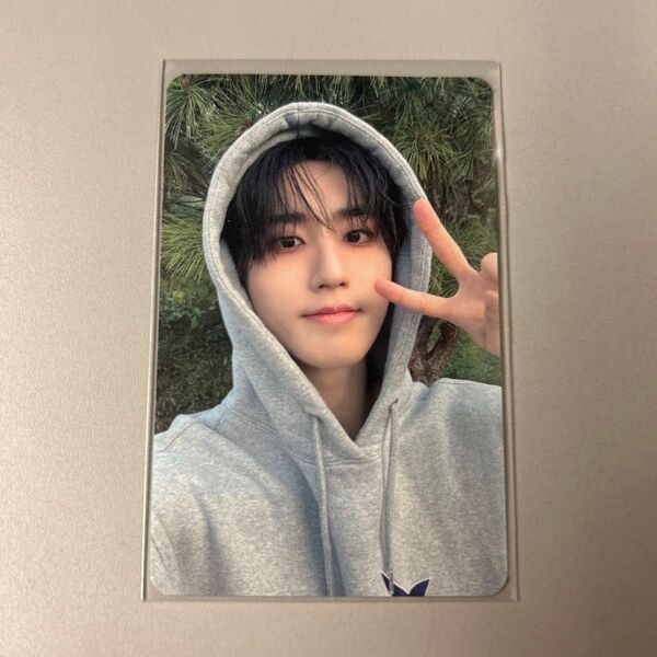 straykids stray kids スキズ ハン HOP DMM 店舗特典 トレカ Dear my muse
