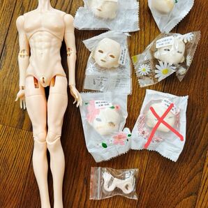 海外 キャストドール ボディ フェイスパーツセット 1/6 30cm ねんどろいど bjd