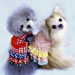 【新品】Dog kiss ギンガム チェック リボン フリル ワンピース ドッグキス ドッグウェア 犬 洋服