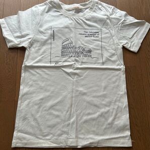 Strawberry Vally Tシャツ ローマ ホワイト