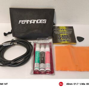 Fernandes ギターケーブル 3m ケアセット 弦 ピック まとめ売り メンテナンスキット