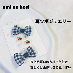 耳つぼジュエリー ハンドメイド 耳つぼアクセサリー 耳つぼシール ギンガムチェック 耳ツボジュエリー 耳ツボダイエット 耳ツボ