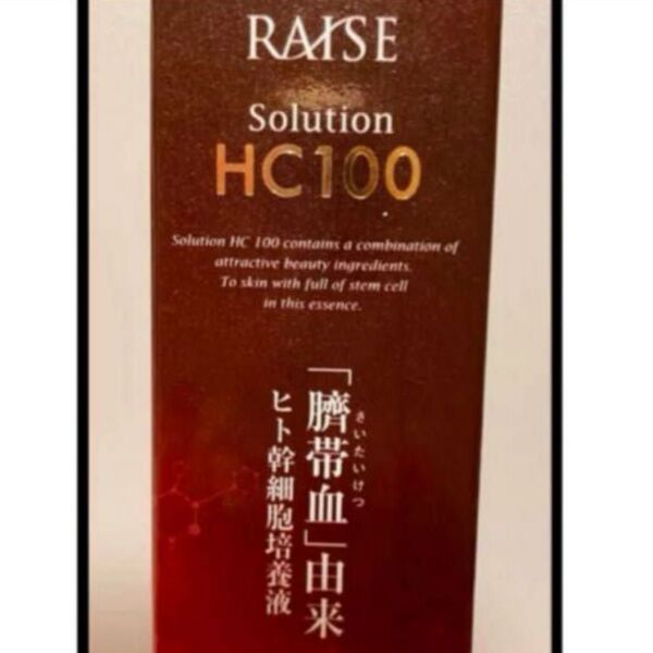 レイズ reise ソリューション HC100 2個 新品 正規