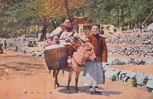 ヤフオク ロバ 絵はがき ポストカード の中古品 新品 未使用品一覧 ヤフオク ロバ 絵はがき ポストカード の中古品 新品 未使用品一覧