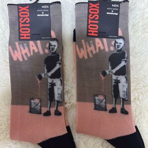What? HOTSOX|アーティストコレクション 二足セット
