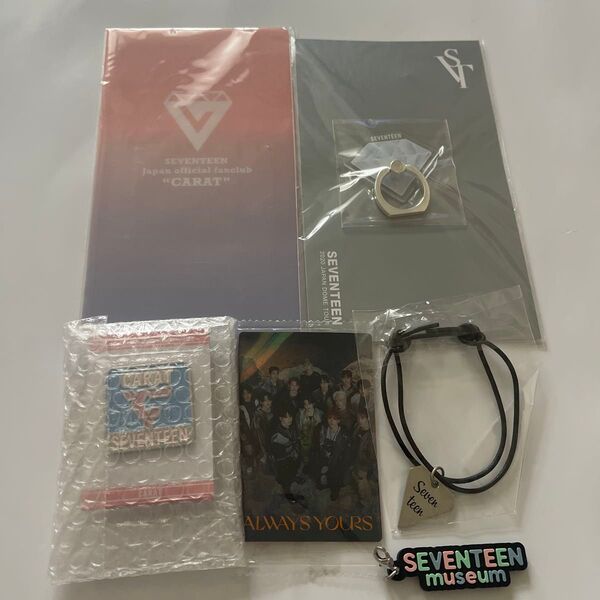 SEVENTEEN SVT セブチ チケットケース ブレスレット ピンバッジ スマホリング フォトカード等 グッズ 6点セット