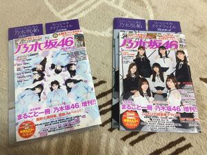 乃木坂46×プレイボーイ2018&2019 スペシャルクリアファイル付き