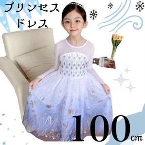 プリンセス ドレス 100cm アナ雪 エルサ風 キッズ コスプレ ブルー