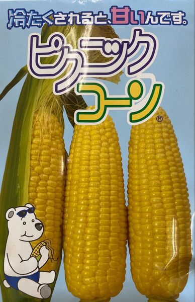 めっちゃ甘〜い とうもろこし ピクニックコーン種子45粒