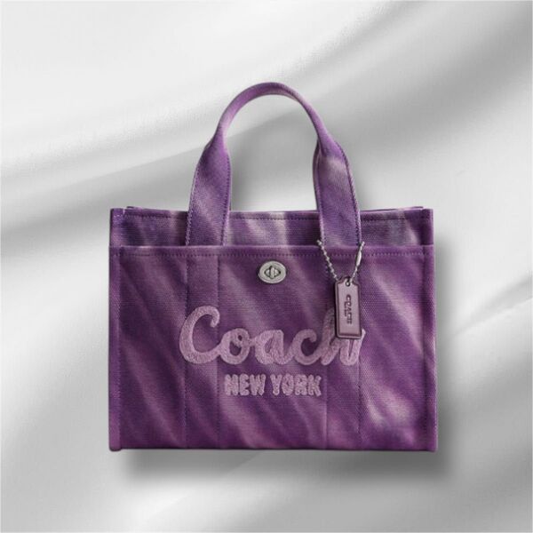 【未使用】COACHコーチ 【日本限定】カーゴ トート バッグ 26・タイ ダイ