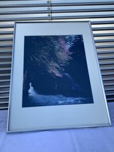 ◆ Фотография Асако Рюто без водопада июньский алюминиевый сумма ◆ 4929
