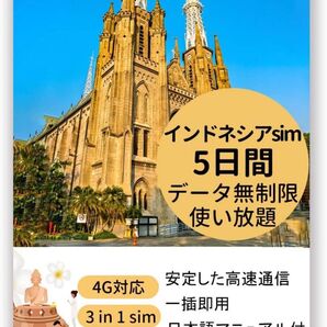 インドネシアsim 5日間 高速データ通信 バリ島sim Telkomsel回線利用 LTE高速通信 インドネシアプリペイド