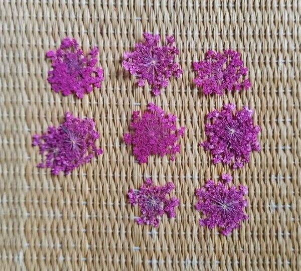 4箱 ドライフラワー 押し花 レースフラワー ネイルアート 素材 材料 半球パール アクリルストーン セット