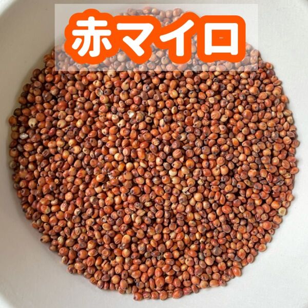 赤マイロ(鳥の餌)600g