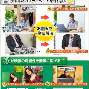 背景布 T型スタンド 緑 白リバーシブル テレワーク (1.5×2m)