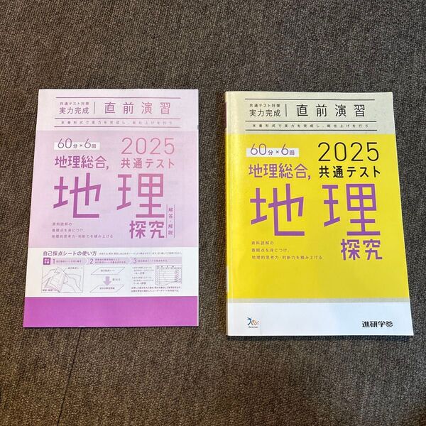 2025 共通テスト 地理総合 地理探究 参考書 問題集 2冊セット