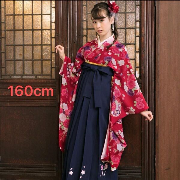 160cm/簡単着付け/5点セット/袴/スカートタイプ