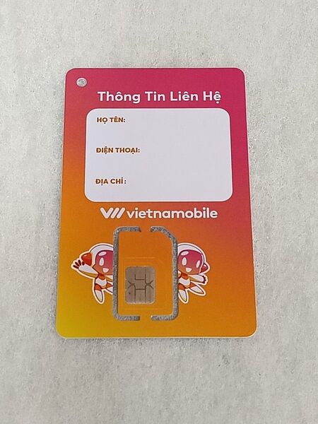 VIETNAMOBILE 5GB/1日 20日 GO DATA SIM ベトナム ベトナモバイル 1枚