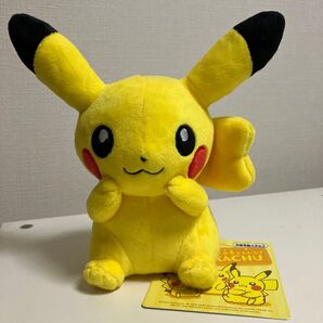 ☆ポケモン☆ピカチュウ マイピカチュウ 女の子 ポケモンセンター限定