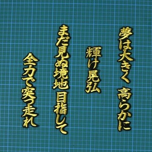 送料無料 若林 応援歌 金/黒 刺繍 ワッペン 読売 巨人 ジャイアンツ 応援 ユニフォーム に