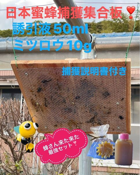日本蜜蜂を捕獲するのに実績のある集合板と誘引液・蜜蝋のセットです 約36cm角