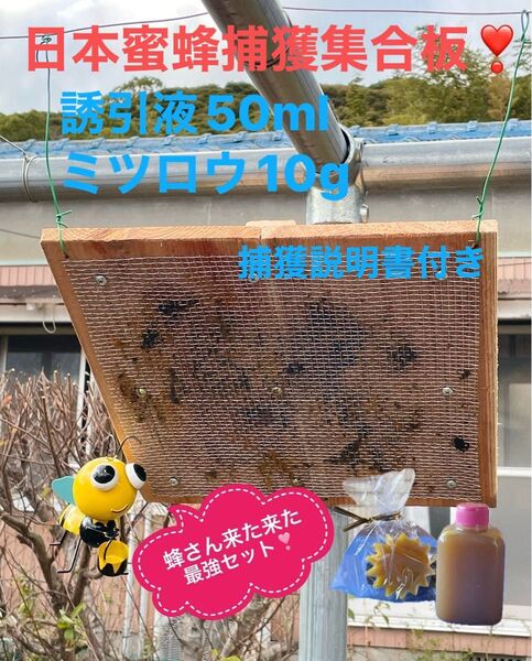 日本蜜蜂を捕獲するのに実績のある集合板と誘引液・蜜蝋のセットです 約36cm角