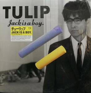 【廃盤LP】Tulip / Jack Is A Boy.